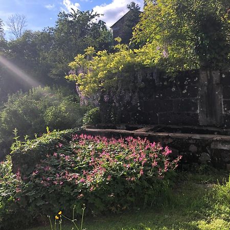 蒂耶扎克Le Figarelou住宿加早餐旅馆 外观 照片