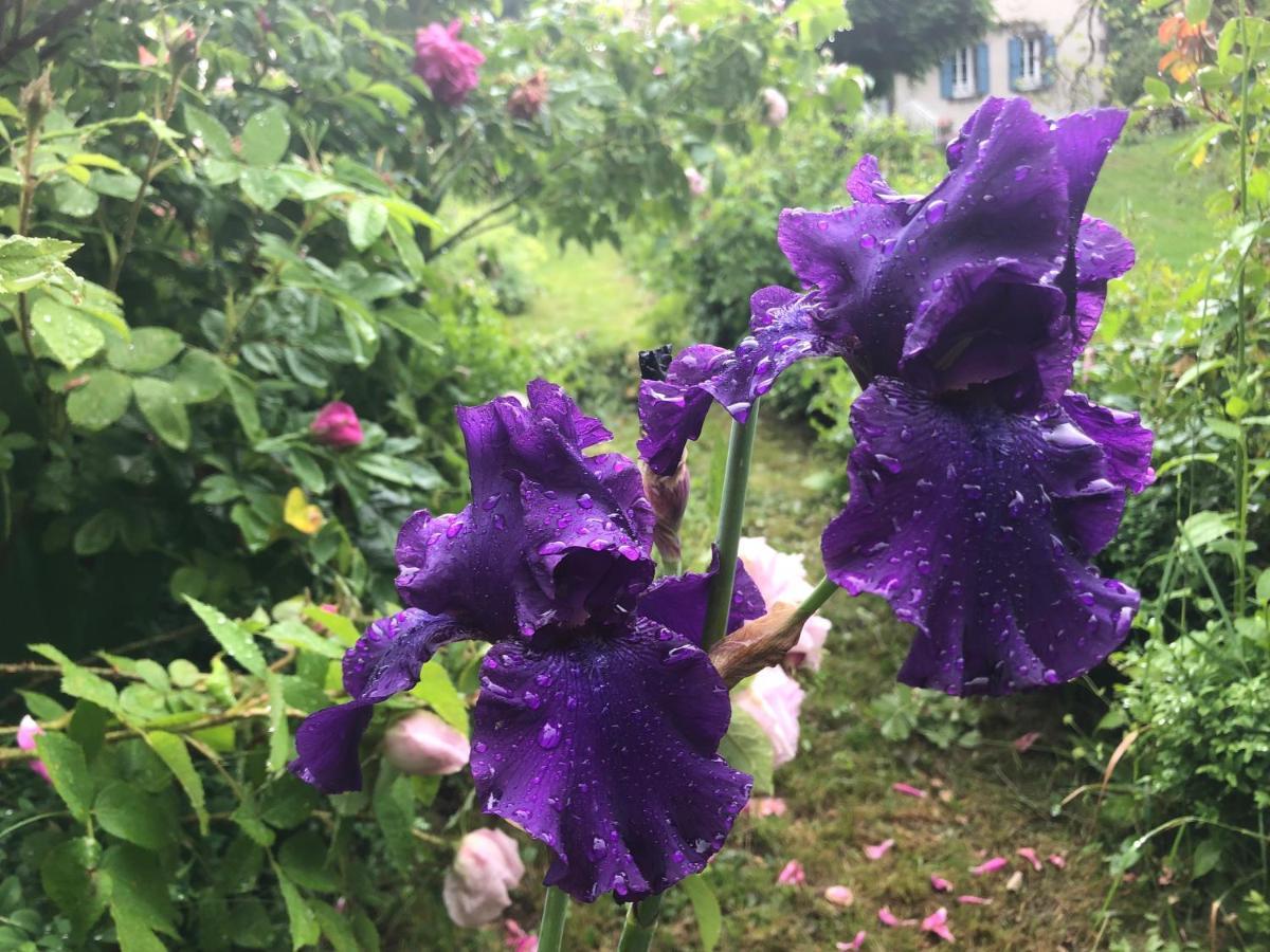 蒂耶扎克Le Figarelou住宿加早餐旅馆 外观 照片