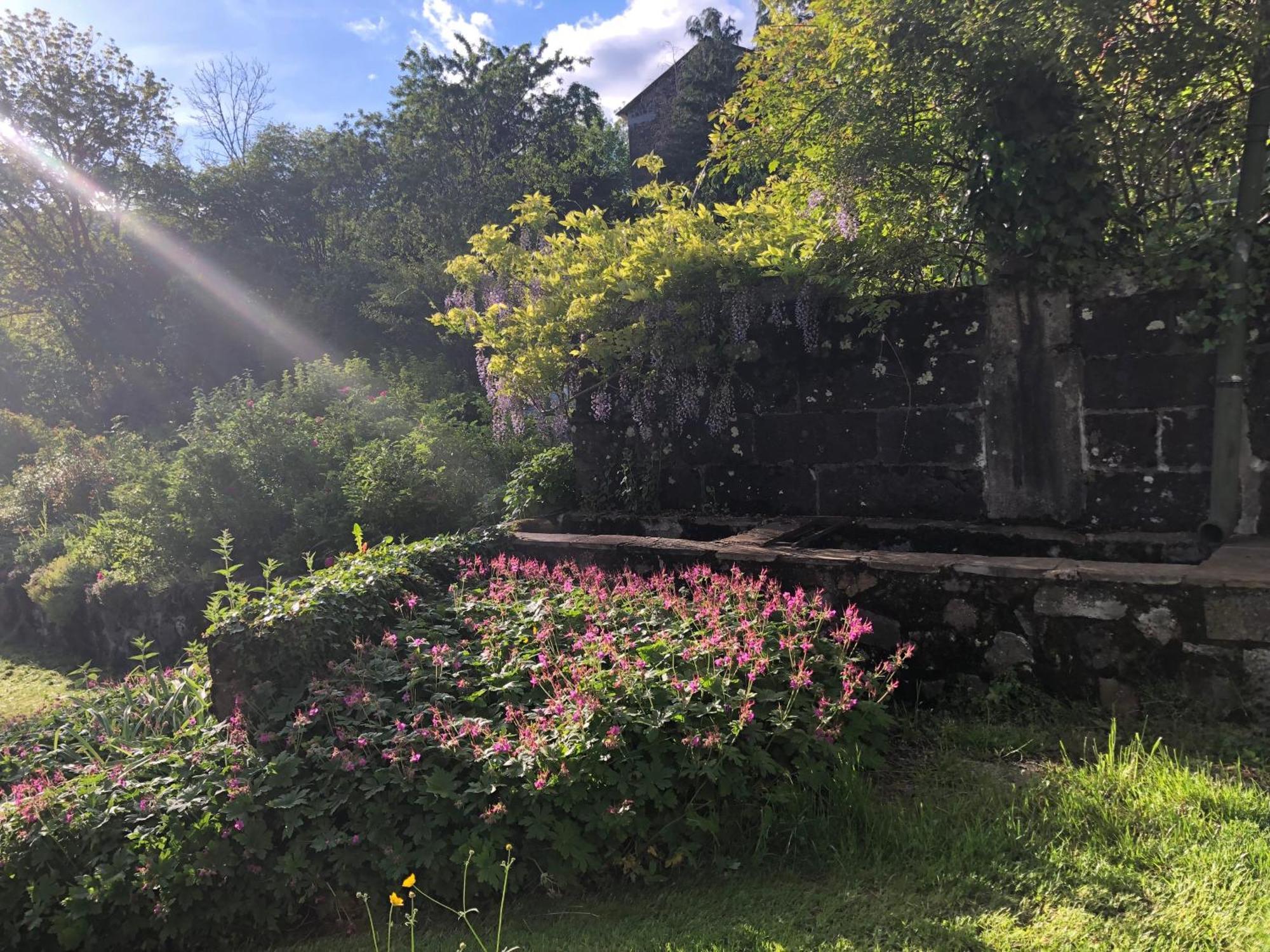 蒂耶扎克Le Figarelou住宿加早餐旅馆 外观 照片