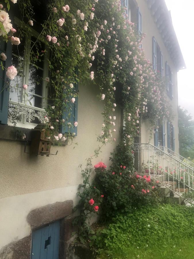 蒂耶扎克Le Figarelou住宿加早餐旅馆 外观 照片